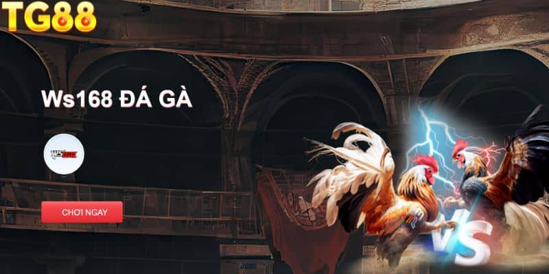 Hướng dẫn tham gia đá gà