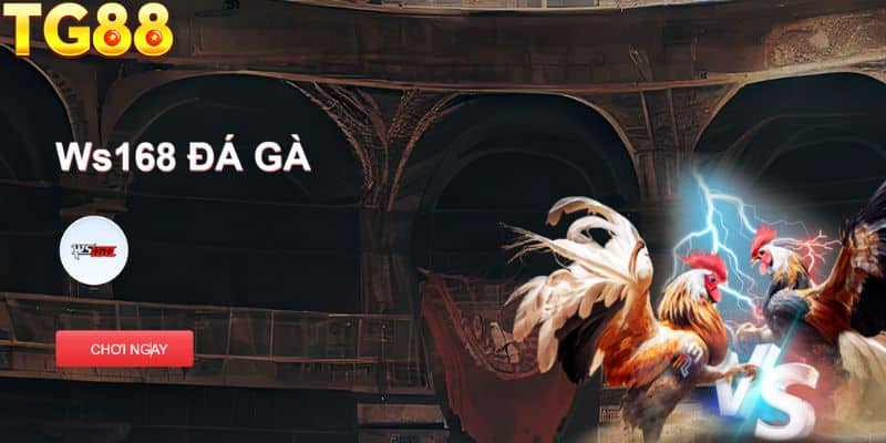 Khái quát về trò chơi