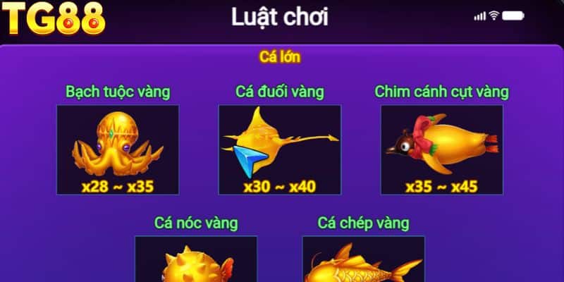 Tận hưởng trò chơi, không chỉ phần thưởng.